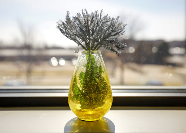 Insurance Co-Payment